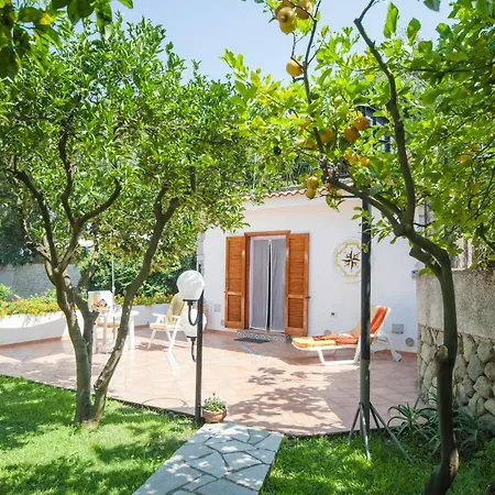 Rosa * Ischia