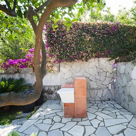 Apartment Rosa