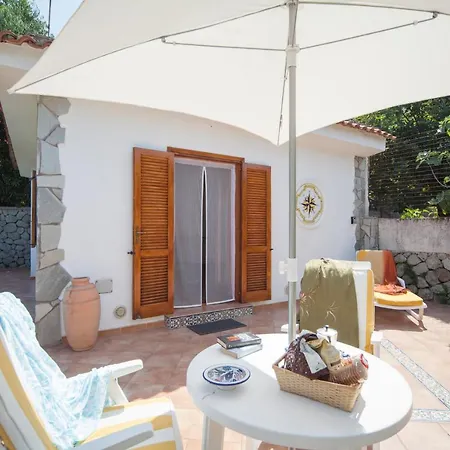 Rosa Ischia