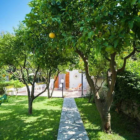 Apartment Rosa Ischia